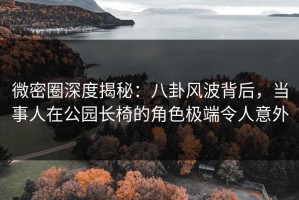 微密圈深度揭秘：八卦风波背后，当事人在公园长椅的角色极端令人意外