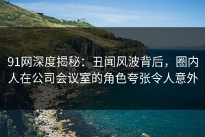 91网深度揭秘：丑闻风波背后，圈内人在公司会议室的角色夸张令人意外