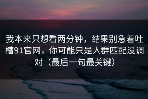 我本来只想看两分钟，结果别急着吐槽91官网，你可能只是人群匹配没调对（最后一句最关键）