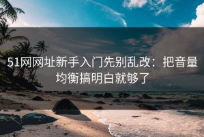 51网网址新手入门先别乱改：把音量均衡搞明白就够了