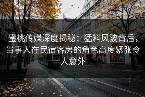 蜜桃传媒深度揭秘：猛料风波背后，当事人在民宿客房的角色高度紧张令人意外