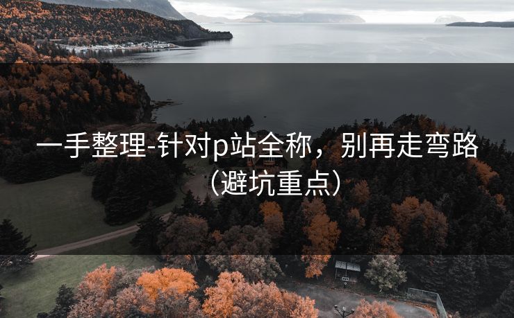 一手整理-针对p站全称，别再走弯路（避坑重点）