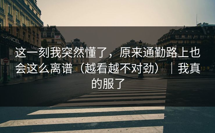 这一刻我突然懂了，原来通勤路上也会这么离谱（越看越不对劲）｜我真的服了